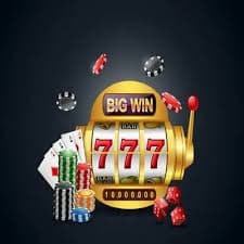 Buffalo King live-dealer table at polling togel with professional croupier and multiple camera angles